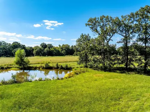 Conway Acreage with Pond and Creek