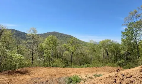 Cosby, TN Ready-to-Build Homesite