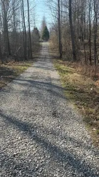 29.5 Acres on Girl Scout Road