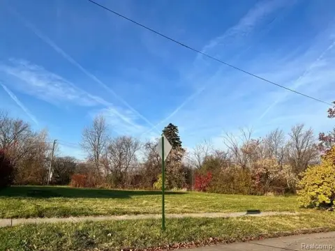 Detroit Vacant Land Opportunity