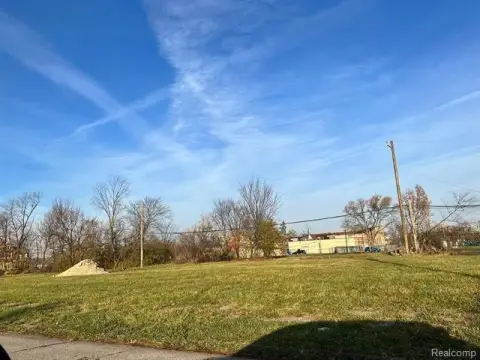 Detroit Vacant Land Infill Opportunity