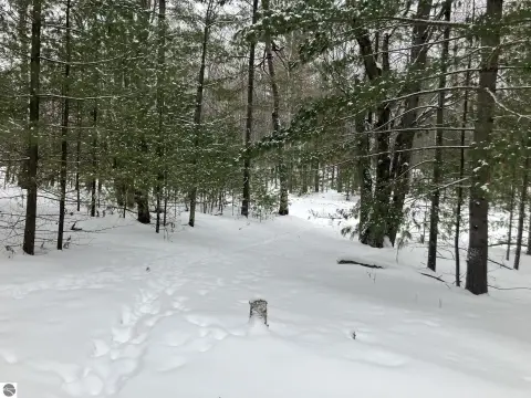 Forest Lake Vacant Land