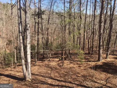 Wooded Lot in Ball Ground