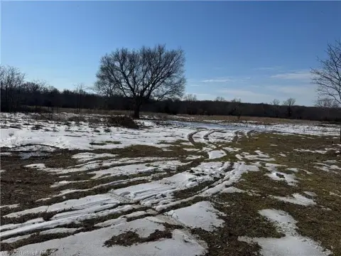 80 Acres Wooded Land