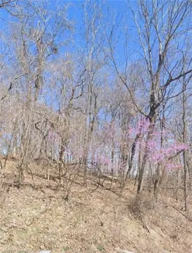 Unrestricted Land in Holiday Island