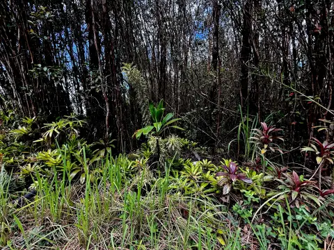 3 Acres in Hawaiian Acres