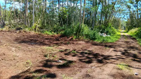 Cleared Lot Ready to Build