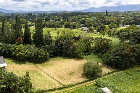 Lush Agricultural Land in Kapaa