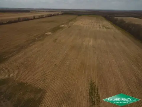 Farm Land Near Bayou Bonne