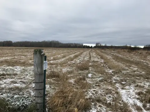 Productive Sheep Farm in Rudyard