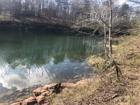 Waterfront Land in Arley, Alabama