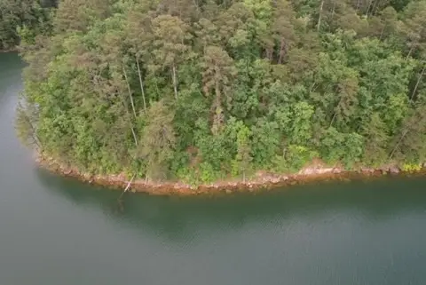 Arley, AL Waterfront Land