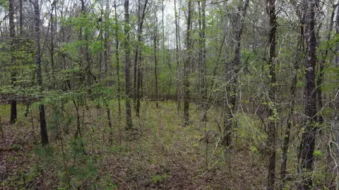 Bremen Land with Pond