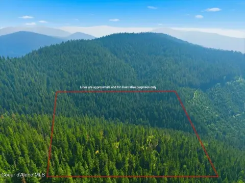 Timbered Hunting Land with Cabin