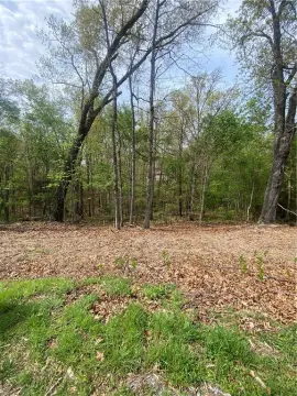 Wooded Lot in Bella Vista