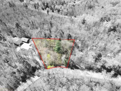 Wooded Lot Near Red Cedar Lake