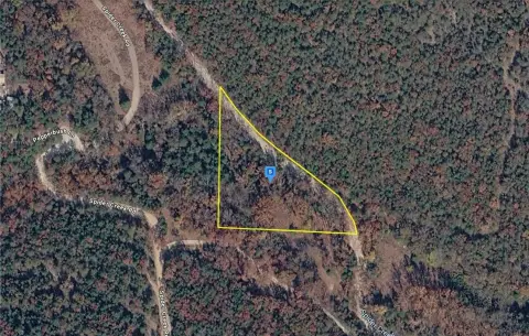 Residential Land Lot with Trees