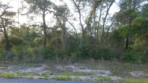 Ochlockonee Bay Land For Sale