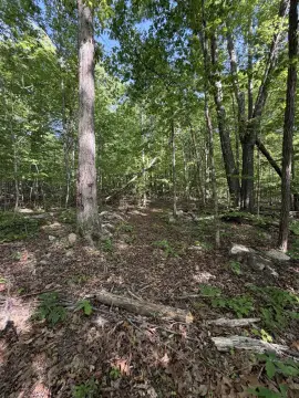 Residential Lot in Newport, TN