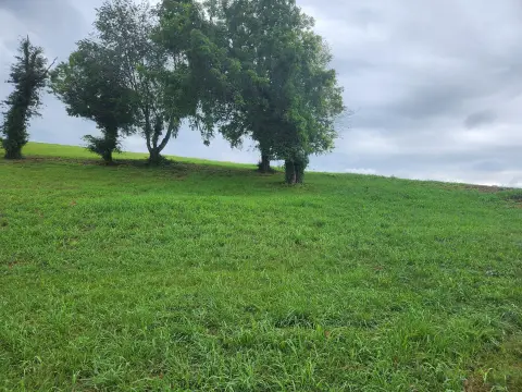 Windswept Lot with Lake Views