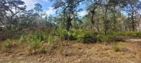 Tranquil Vacant Land Opportunity