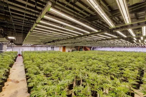 La Pine Cannabis Production Facility