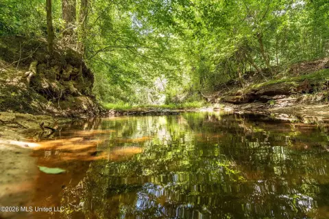 Wooded Hunting Land with Food Plots