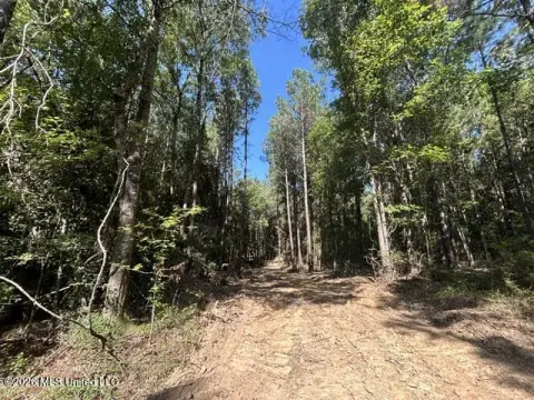 Agricultural Land with Road Frontage