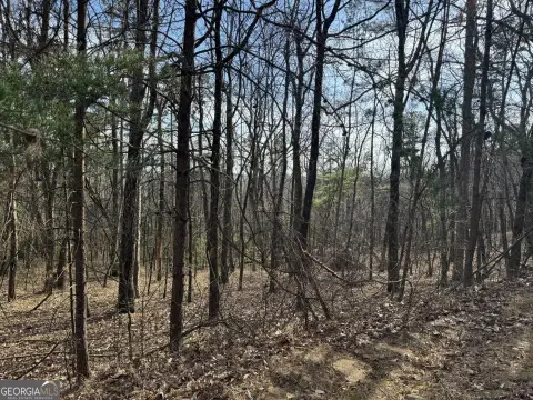 Wooded Homesite in Gated Golf Community
