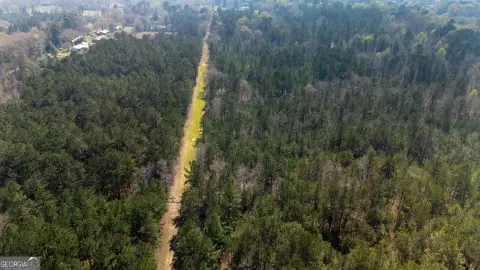 37.52 Acres Untouched Potential