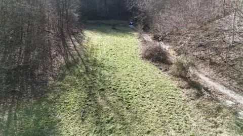 243 Acres of Kentucky Land