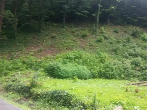 Pikeville, KY Residential Land