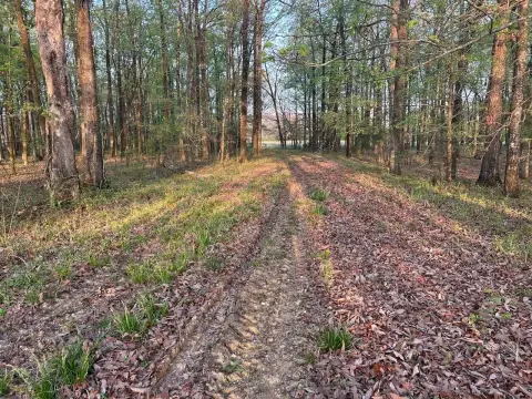Secluded Hardwood Land on Highway