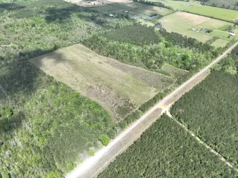 Hunting Land Near DeRidder, LA
