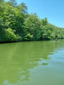 Waterfront Land on Warrior River
