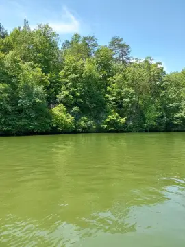 Quinton, AL Land For Sale