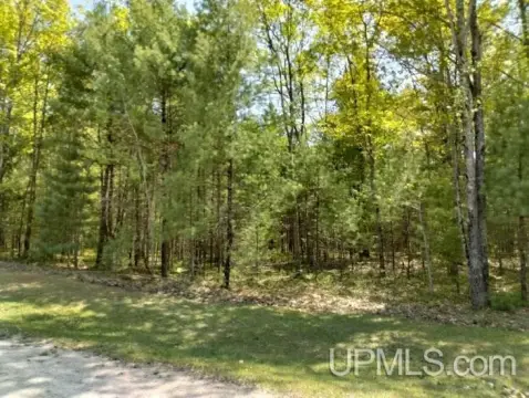 Rapid River Wooded Residential Land