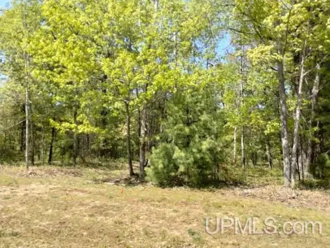 Residential Land in Rapid River