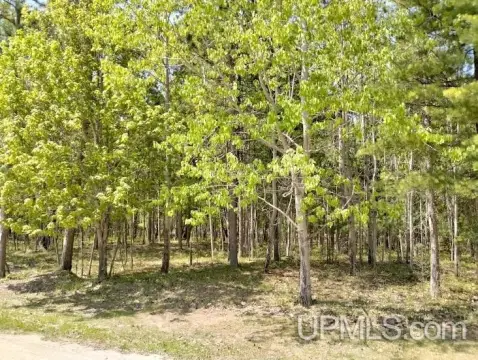Wooded Lot in Rapid River