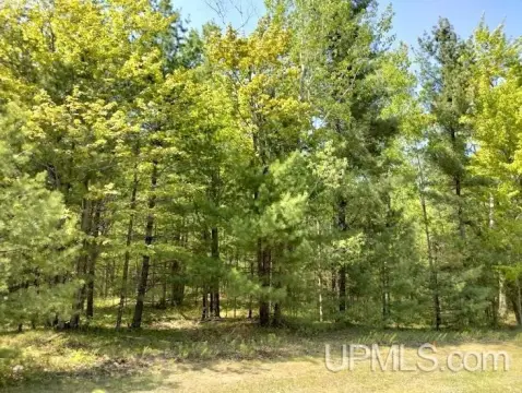Wooded Lot in Private Setting