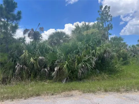 Residential Land in North Port