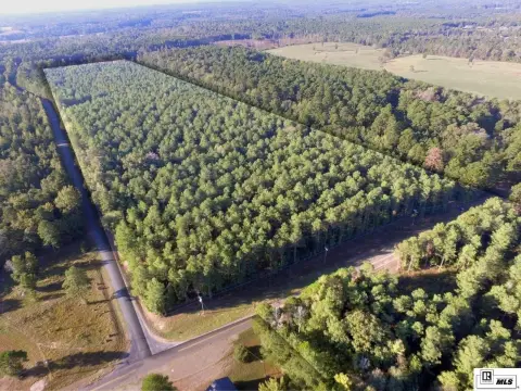 Hunting Land with Road Access