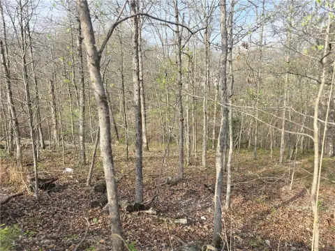 Wooded Lot in Bella Vista
