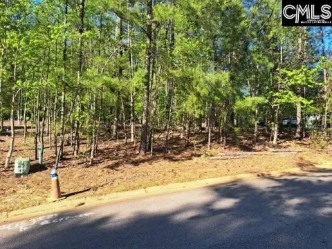 Residential Lot in Lakeside Community