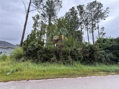 Residential Land in Palm Coast