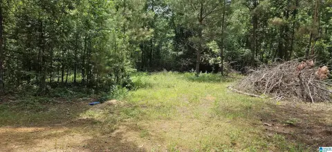 Cleared Land in Maplesville, AL