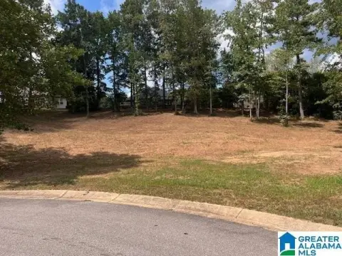 Residential Lot in Chelsea, AL