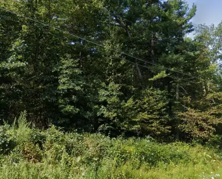 Wooded Land in Kerhonkson, NY
