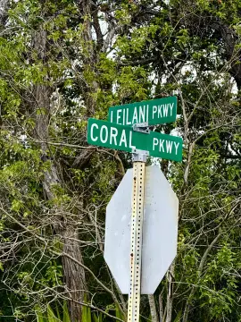 Ocean View Acreage: Buildable Lot