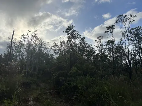 Volcano Land in Excellent Location